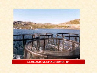 ECOLOGICAL STOICHIOMETRY
 