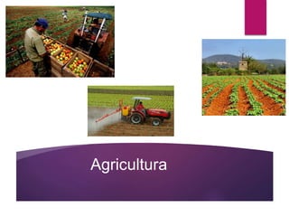 Agricultura
 