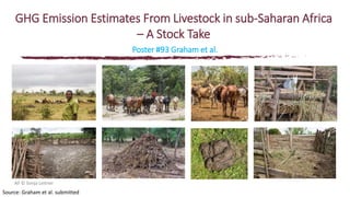 The state of knowledge and policy efforts to improve inventory estimates and mitigate livestock GHG emissions in Africa