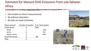 The state of knowledge and policy efforts to improve inventory estimates and mitigate livestock GHG emissions in Africa