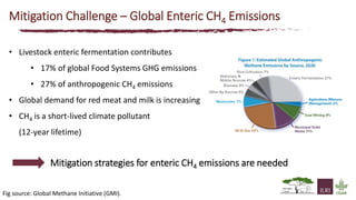 The state of knowledge and policy efforts to improve inventory estimates and mitigate livestock GHG emissions in Africa