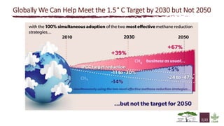 The state of knowledge and policy efforts to improve inventory estimates and mitigate livestock GHG emissions in Africa