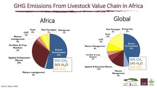 The state of knowledge and policy efforts to improve inventory estimates and mitigate livestock GHG emissions in Africa
