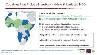 The state of knowledge and policy efforts to improve inventory estimates and mitigate livestock GHG emissions in Africa