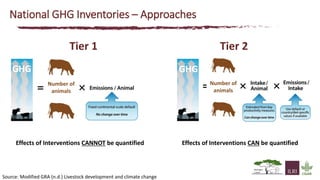The state of knowledge and policy efforts to improve inventory estimates and mitigate livestock GHG emissions in Africa