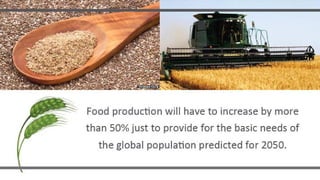 An Introduction to Growth Green Agriculture 