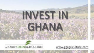 GGAgriculture   Invest in Ghana
