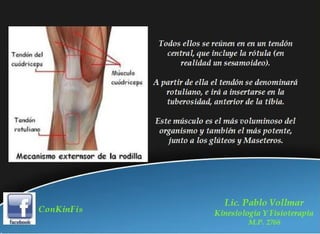 Rehabilitación en Desgarros del Recto Anterior del Muslo