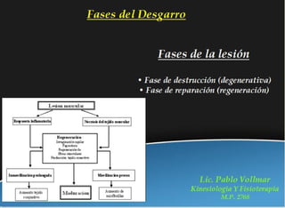 Rehabilitación en Desgarros del Recto Anterior del Muslo