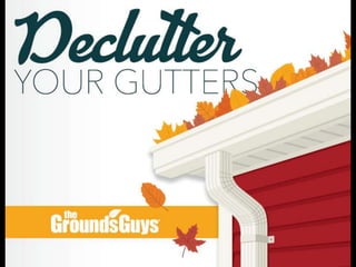 Canada - Declutter Your Gutters | Tips from The Grounds Guys®