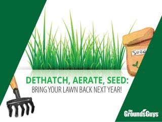 Canada - Bring Your Lawn Back Next Year | Tips from The Grounds Guys®