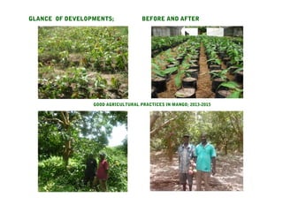 GLANCE OF DEVELOPMENTS; BEFORE AND AFTER
GOOD AGRICULTURAL PRACTICES IN MANGO; 2013-2015
 