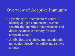 Overview of Adaptive Immunity
• Lymphocytes: “command & control,”
identify antigen components, respond
specifically, mobilize other elements and
direct the attack c memory for each
antigenic assault
• Antibodies: specialized immunoglobulin
molecules directly neutralize and remove
antigen
 
