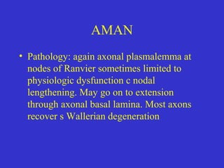 AMAN
• Pathology: again axonal plasmalemma at
nodes of Ranvier sometimes limited to
physiologic dysfunction c nodal
lengthening. May go on to extension
through axonal basal lamina. Most axons
recover s Wallerian degeneration
 