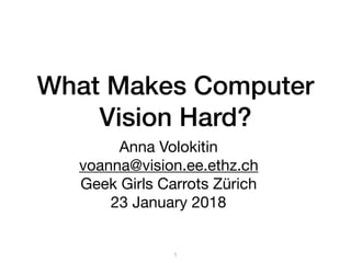 What Makes Computer
Vision Hard?
Anna Volokitin

voanna@vision.ee.ethz.ch

Geek Girls Carrots Zürich

23 January 2018
1
 
