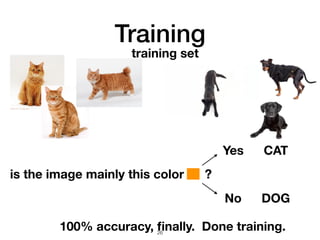 Computer Vision Training Cat Example What Makes Computer Vision Hard? | PDF