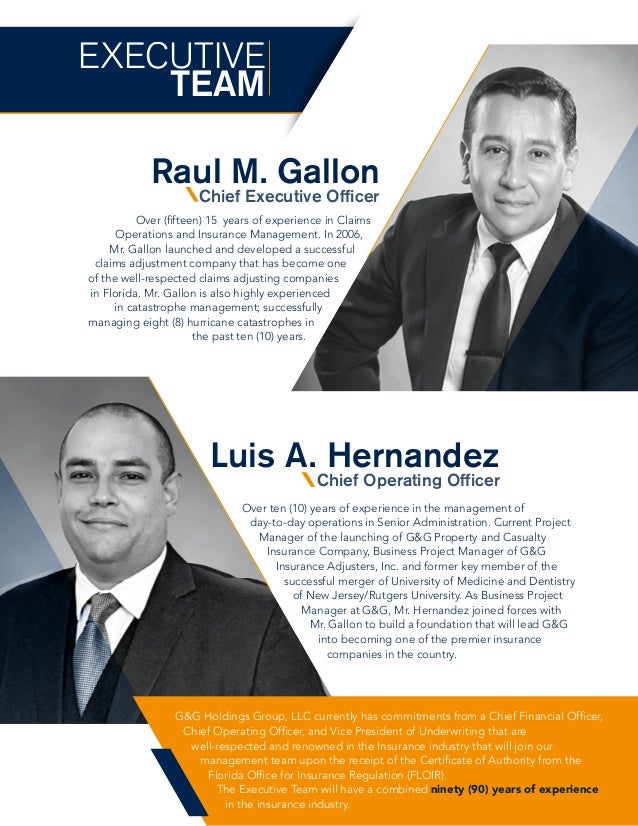 G&G Holdings Group Executive Summary