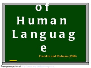 The Laws of  Human  Language Free powerpoints at  http://www.worldofteaching.com Fromkin and Rodman (1988) 