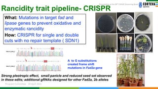 Genetic Gains Governing Board April 2021