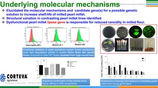 Genetic Gains Governing Board April 2021