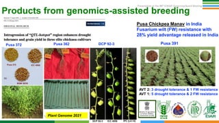 Genetic Gains Governing Board April 2021