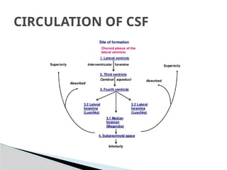 Blood brain barrier and csf dynamics | PPTX