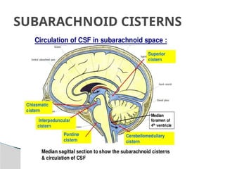 Blood brain barrier and csf dynamics | PPTX