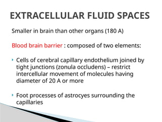 Blood brain barrier and csf dynamics | PPTX