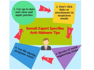  Semalt Expert Specifies Anti-Malware Tips