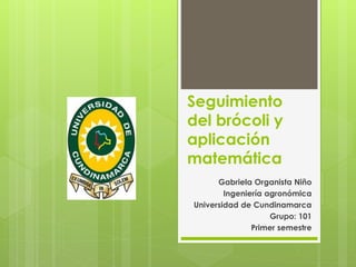 Seguimiento
del brócoli y
aplicación
matemática
Gabriela Organista Niño
Ingeniería agronómica
Universidad de Cundinamarca
Grupo: 101
Primer semestre
 