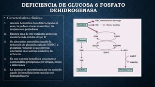 DEFICIENCIA DE GLUCOSA 6 FOSFATO
DEHIDROGENASA
• Características clínicas:
1. Anemia hemólitica hereditaria ligada al
sexo...