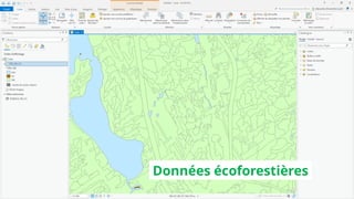 Données écoforestières
Données écoforestières
 