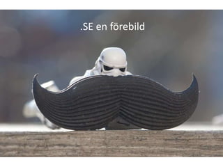 .SE en förebild
 