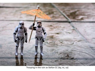 Trooping in the rain av Stéfan CC (by, nc, sa)
 
