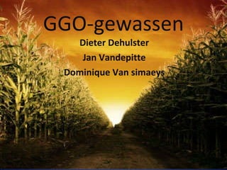 GGO-gewassen Dieter Dehulster Jan Vandepitte Dominique Van simaeys 