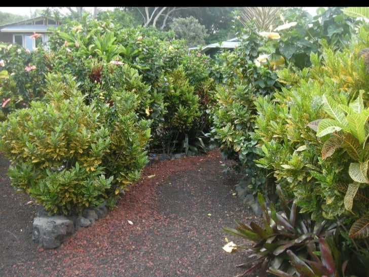 Galaxy Forum USA 2012 - Galaxy Garden