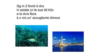 Gg in 2 fronti è dvs
in estate cn le sue bll h2o
e la dvrs flora
è x noi un’ accogliente dimora
 