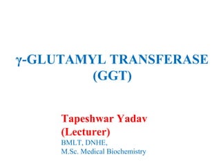 γ-GLUTAMYL TRANSFERASE
(GGT)
Tapeshwar Yadav
(Lecturer)
BMLT, DNHE,
M.Sc. Medical Biochemistry
 