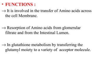 glutathione effects on eyes GGT main image 1