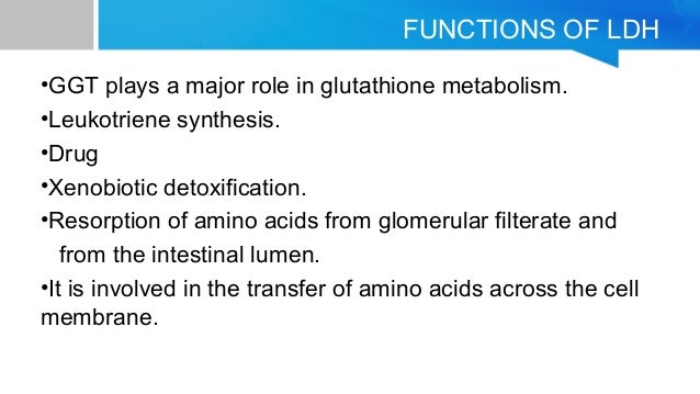 Γグルタミルトランスフェラーゼ Gammaglutamyltransferase JapaneseClass.jp