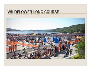 WILDFLOWER LONG COURSE

 