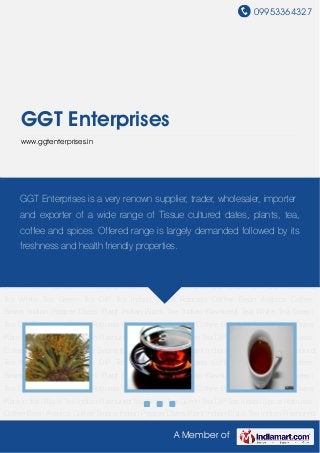 09953364327
A Member of
GGT Enterprises
www.ggtenterprises.in
Dates Plant Indian Black Tea Indian Flavoured Tea White Tea Green Tea DIP Tea Indian
Spice Robusta Coffee Bean Arabica Coffee Beans Indian Pepper Dates Plant Indian Black
Tea Indian Flavoured Tea White Tea Green Tea DIP Tea Indian Spice Robusta Coffee
Bean Arabica Coffee Beans Indian Pepper Dates Plant Indian Black Tea Indian Flavoured
Tea White Tea Green Tea DIP Tea Indian Spice Robusta Coffee Bean Arabica Coffee
Beans Indian Pepper Dates Plant Indian Black Tea Indian Flavoured Tea White Tea Green
Tea DIP Tea Indian Spice Robusta Coffee Bean Arabica Coffee Beans Indian Pepper Dates
Plant Indian Black Tea Indian Flavoured Tea White Tea Green Tea DIP Tea Indian Spice Robusta
Coffee Bean Arabica Coffee Beans Indian Pepper Dates Plant Indian Black Tea Indian Flavoured
Tea White Tea Green Tea DIP Tea Indian Spice Robusta Coffee Bean Arabica Coffee
Beans Indian Pepper Dates Plant Indian Black Tea Indian Flavoured Tea White Tea Green
Tea DIP Tea Indian Spice Robusta Coffee Bean Arabica Coffee Beans Indian Pepper Dates
Plant Indian Black Tea Indian Flavoured Tea White Tea Green Tea DIP Tea Indian Spice Robusta
Coffee Bean Arabica Coffee Beans Indian Pepper Dates Plant Indian Black Tea Indian Flavoured
Tea White Tea Green Tea DIP Tea Indian Spice Robusta Coffee Bean Arabica Coffee
Beans Indian Pepper Dates Plant Indian Black Tea Indian Flavoured Tea White Tea Green
Tea DIP Tea Indian Spice Robusta Coffee Bean Arabica Coffee Beans Indian Pepper Dates
Plant Indian Black Tea Indian Flavoured Tea White Tea Green Tea DIP Tea Indian Spice Robusta
Coffee Bean Arabica Coffee Beans Indian Pepper Dates Plant Indian Black Tea Indian Flavoured
GGT Enterprises is a very renown supplier, trader, wholesaler, importer
and exporter of a wide range of Tissue cultured dates, plants, tea,
coffee and spices. Offered range is largely demanded followed by its
freshness and health friendly properties.
 