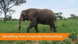 Benefiting from Corporate Partnerships
 