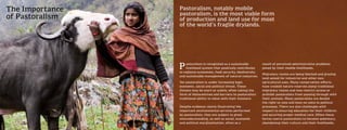 Women          Women play a crucial role within
               pastoralist communities both as
Pastoralists   keepers of l...