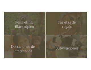 Marketing
ﬁlantrópico
Tarjetas de
regalo
Donaciones de
empleados
Subvenciones
 