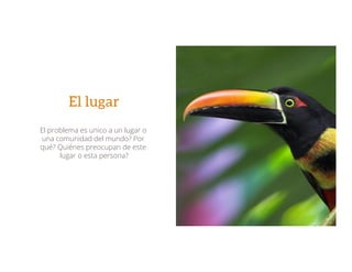 El lugar
El problema es unico a un lugar o
una comunidad del mundo? Por
qué? Quiénes preocupan de este
lugar o esta persona?
 