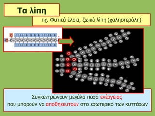 Συγκεντρώνουν μεγάλα ποσά ενέργειας
που μπορούν να αποθηκευτούν στο εσωτερικό των κυττάρων
πχ. Φυτικά έλαια, ζωικά λίπη (χοληστερόλη)
Τα λίπη
 