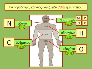 Για παράδειγμα, κάποιος που ζυγίζει 70kg έχει περίπου:
υδρογόνο H
άλλα στοιχεία
Ca P
Cl K
οξυγόνο O
άνθρακαςC
άζωτοN
43 kg
16 kg
7 kg
1,8 kg
2,2 kg
 