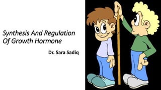 Synthesis And Regulation
Of Growth Hormone
Dr. Sara Sadiq
 