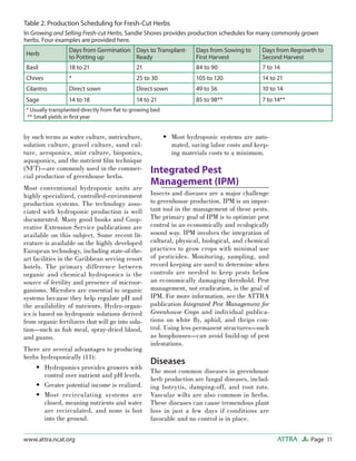 Herbs: Organic Greenhouse Production | PDF